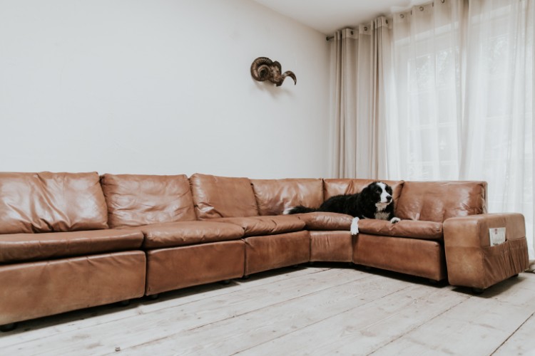 vintage leather sectional sofa with my favorite model ... 