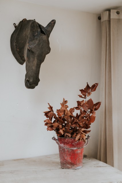 still life .. 