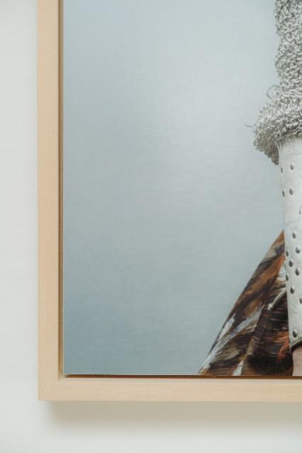 Artwork by frieke janssens