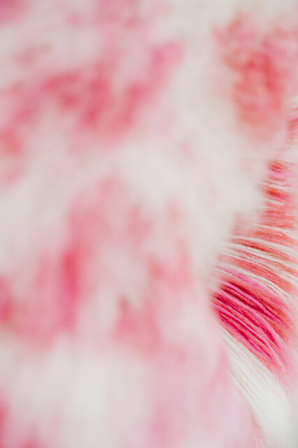 artwork Rosa C. by Signe Emdal...