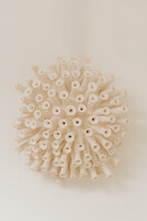 ceramic sculpture ... can be used as wall light/sconce ..