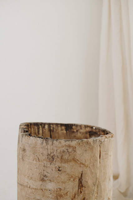 chestnut dugout treetrunk ... smaller one on the picture ...