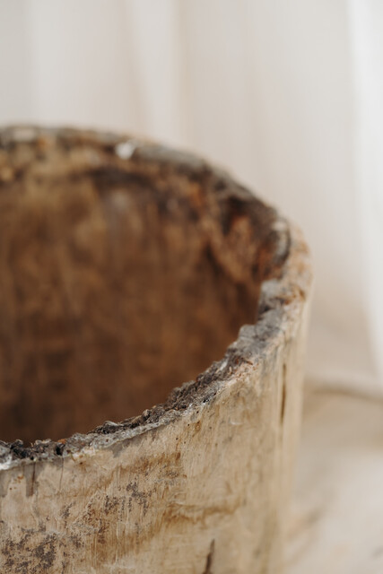 chestnut dugout treetrunk ... smaller one on the picture ...