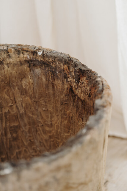 chestnut dugout treetrunk ... smaller one on the picture ...