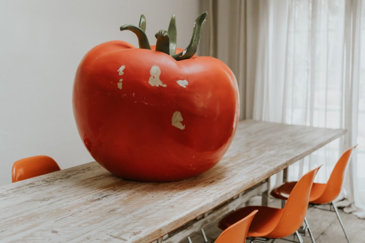 color your life ... fun interiors ...