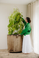 green ... always green ...