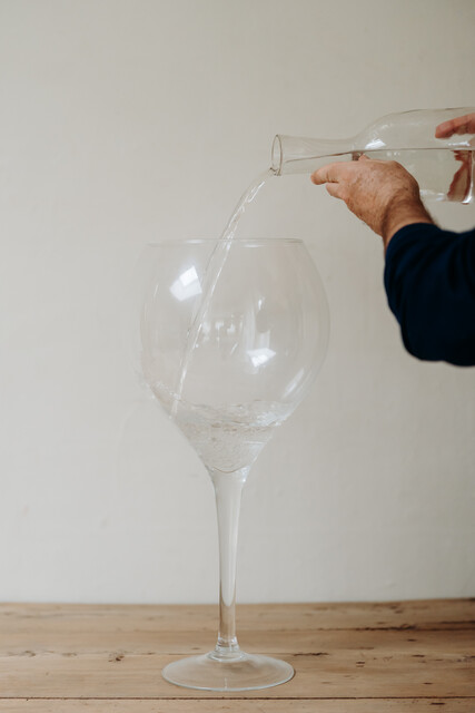 ideal gift for a winelover ... xl wine glass ...
