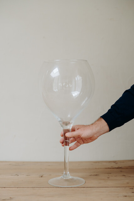 ideal gift for a winelover ... xl wine glass ...
