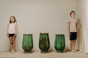 my garden soldiers ... 