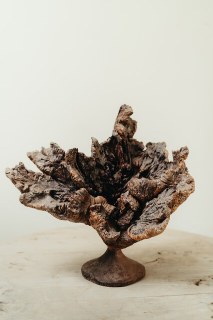 natural wooden object ... root ...