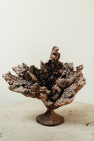 natural wooden object ... root ...