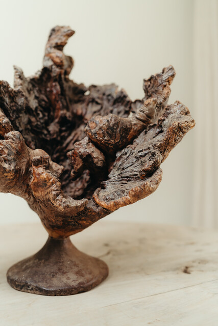 natural wooden object ... root ...