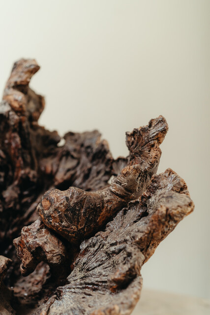 natural wooden object ... root ...