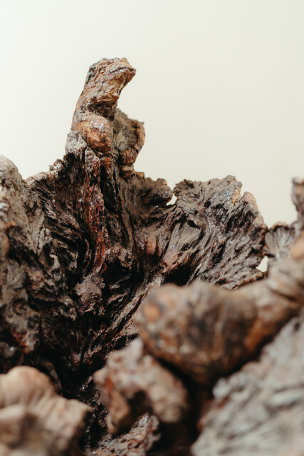 natural wooden object ... root ...