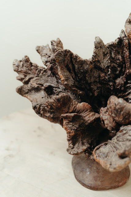 natural wooden object ... root ...