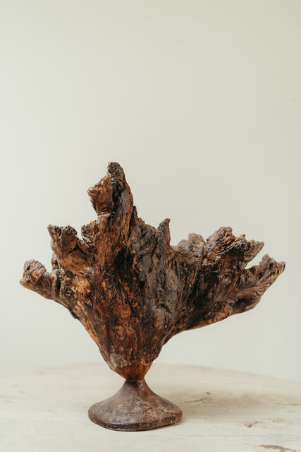 natural wooden object ... root ...