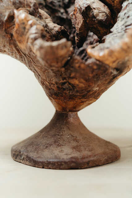 natural wooden object ... root ...