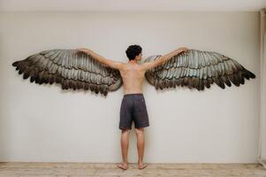 Pair of wooden wings .. 