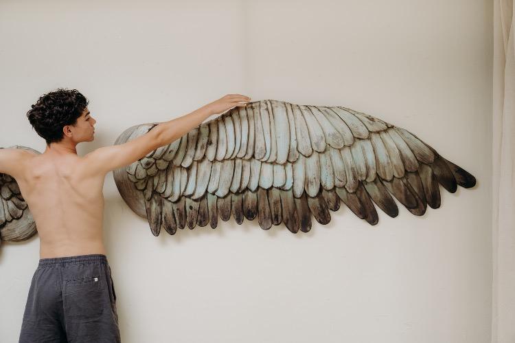 Pair of wooden wings ..