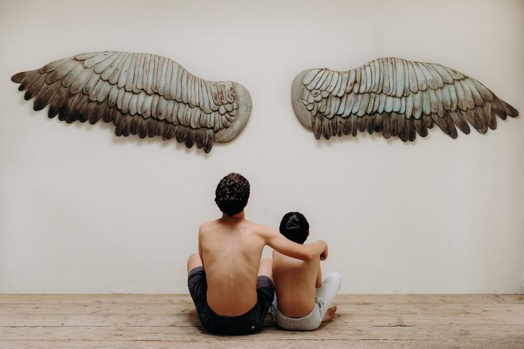 Pair of wooden wings ..