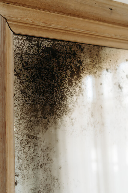 pinewood framed mirror ...foxed mirror glass ...