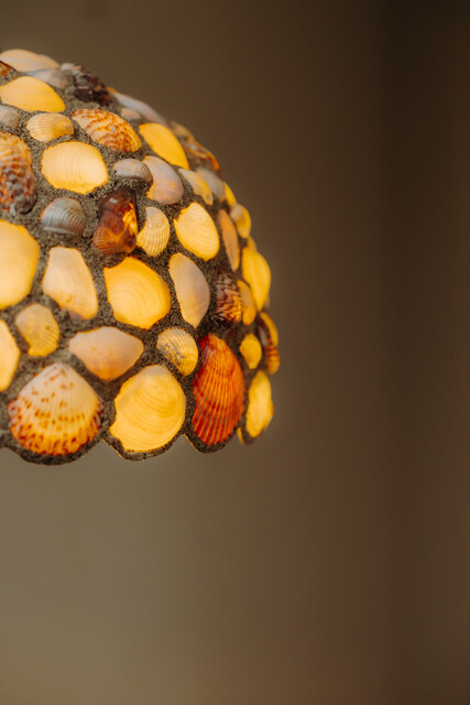 shell lamp ...