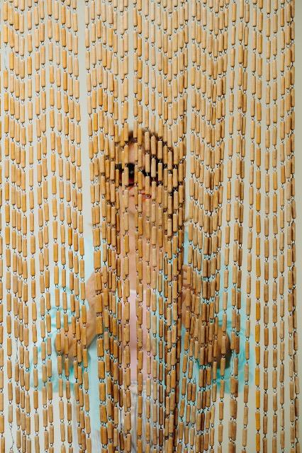 Vintage fly screen 