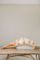 xl sushi ... quirky object in resin ..